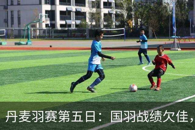 丹麦羽赛第五日：国羽战绩欠佳，王祉怡不敌山口茜
