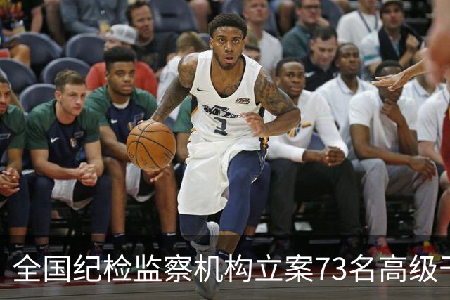 全国纪检监察机构立案73名高级干部