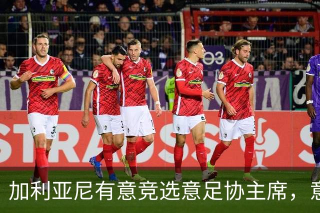 加利亚尼有意竞选意足协主席，意甲内部分歧加剧