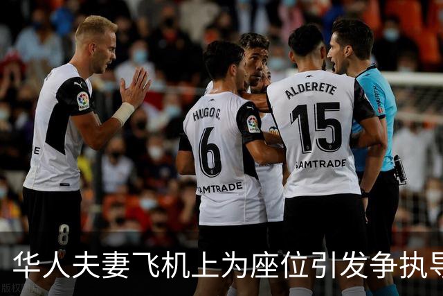 华人夫妻飞机上为座位引发争执导致全体乘客下机