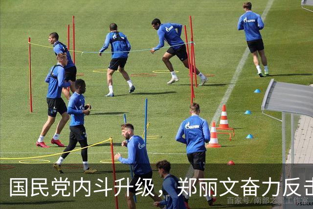 国民党内斗升级，郑丽文奋力反击困局