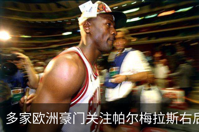 多家欧洲豪门关注帕尔梅拉斯右后卫吉亚