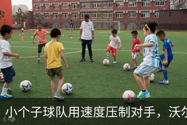 小个子球队用速度压制对手，沃尔科特再创佳绩
