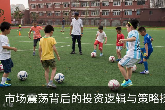 市场震荡背后的投资逻辑与策略探讨