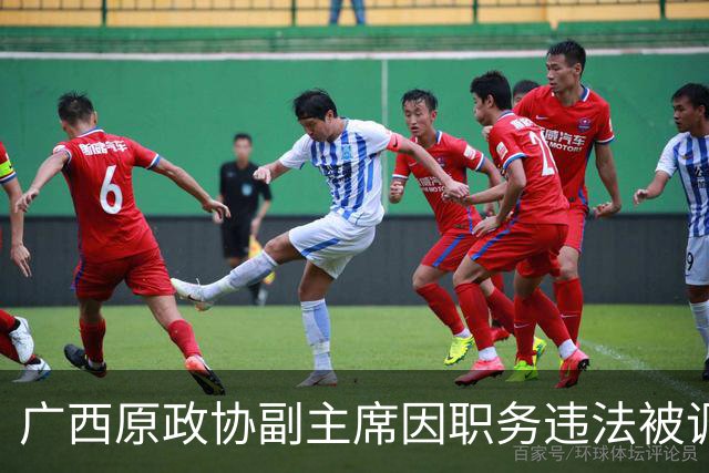 广西原政协副主席因职务违法被调查