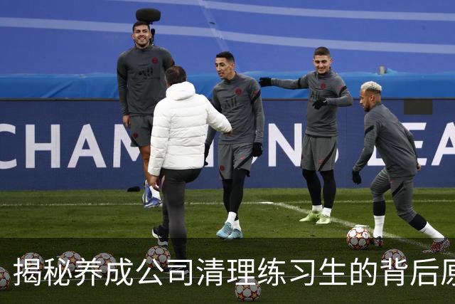 揭秘养成公司清理练习生的背后原因