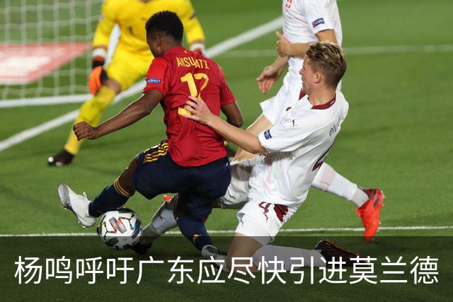 杨鸣呼吁广东应尽快引进莫兰德