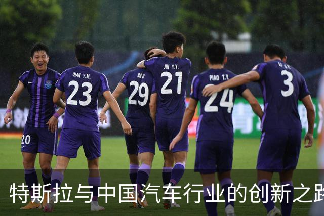 特斯拉与中国汽车行业的创新之路