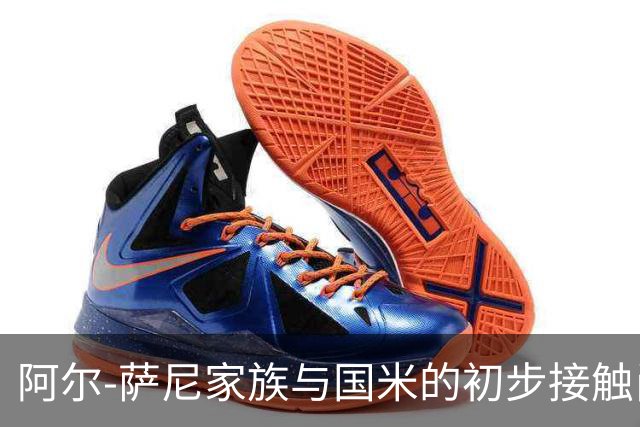 阿尔-萨尼家族与国米的初步接触尚无实质进展