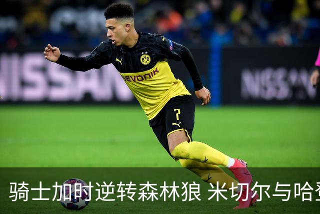 骑士加时逆转森林狼 米切尔与哈登表现神勇