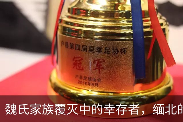 魏氏家族覆灭中的幸存者，缅北的魏榕现身何方